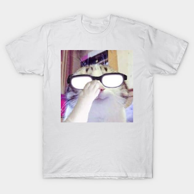 Beluga Cat T-Shirt by BHM Shirts